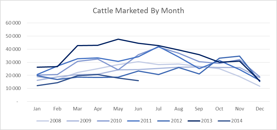 Namibia_Cattle_Marketed